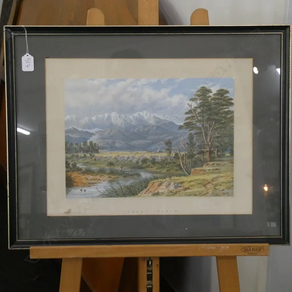 C. P. BARRAUD 'OPAKI PLAIN' LITHOGRAPH 590 X 460MM Image 1++