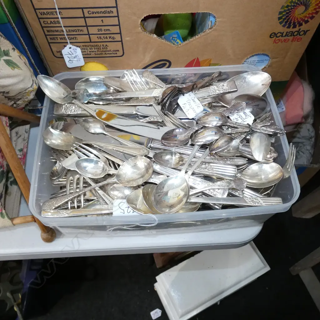 BOX LOT COMMUNITY PLATE CUTLERY ETC Image 1++