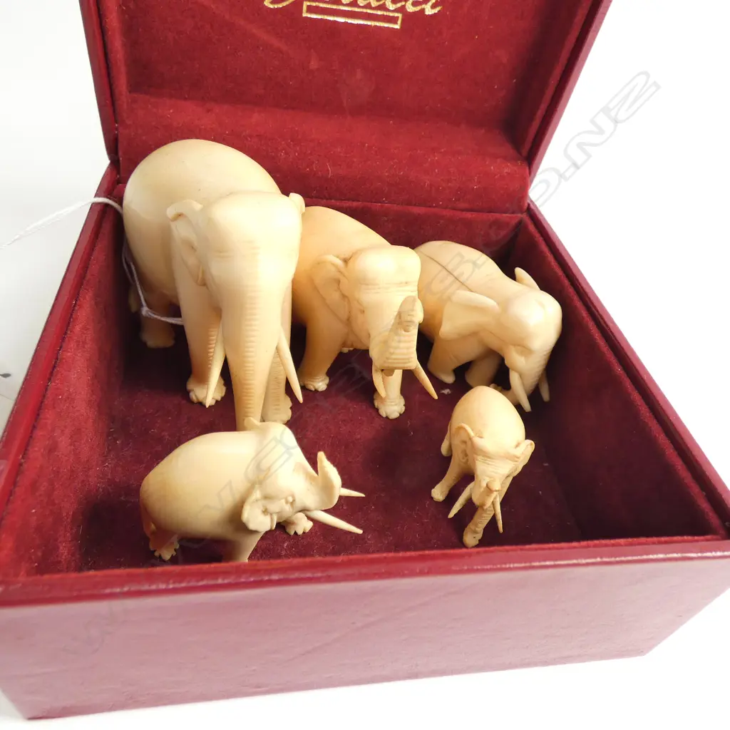 GRADUATED SET 5 CARVED IVORY ELEPHANTS TALLEST 52mm Image 1++