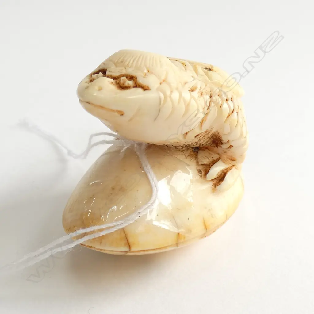 JAPANESE CARVED IVORY NETSUKE MYTHICAL TURTLE ON POD Image 1++