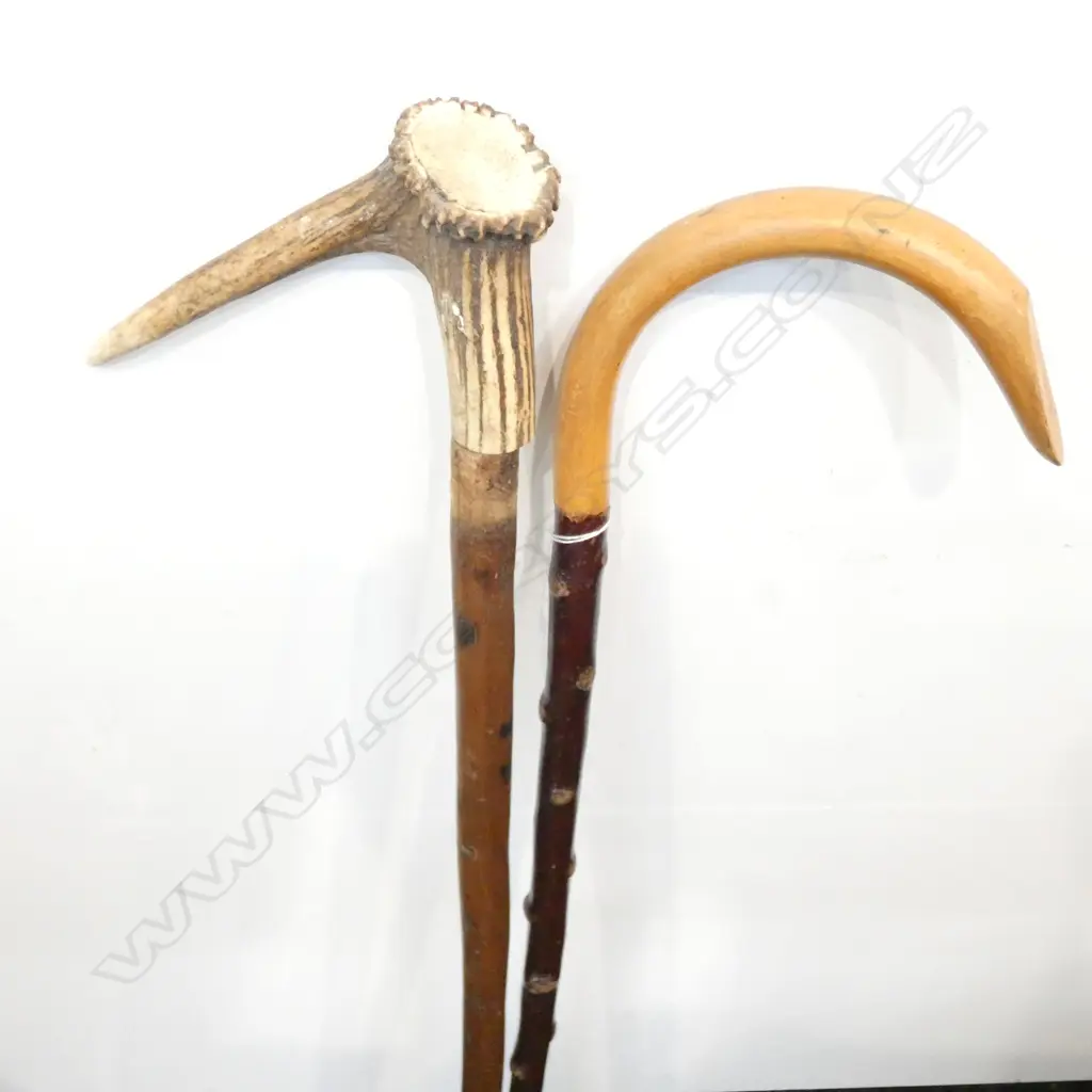 2 WALKING STICKS; ONE ANTLER HANDLE L. 900MM Image 1++