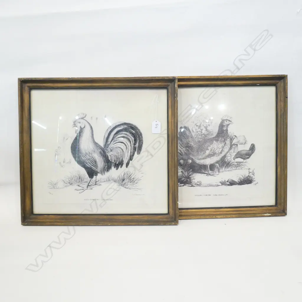 2 FRENCH ANTIQUE LITHO STYLE ROOSTER & HEN PRINTS  Image 1++