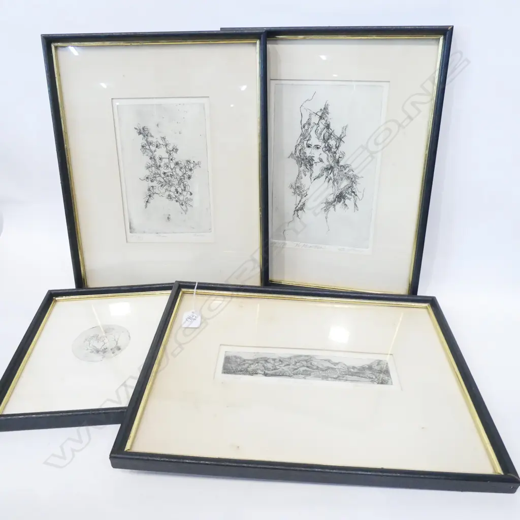 4 ETCHINGS BY S. WILCOX 375 X 300MM Image 1++