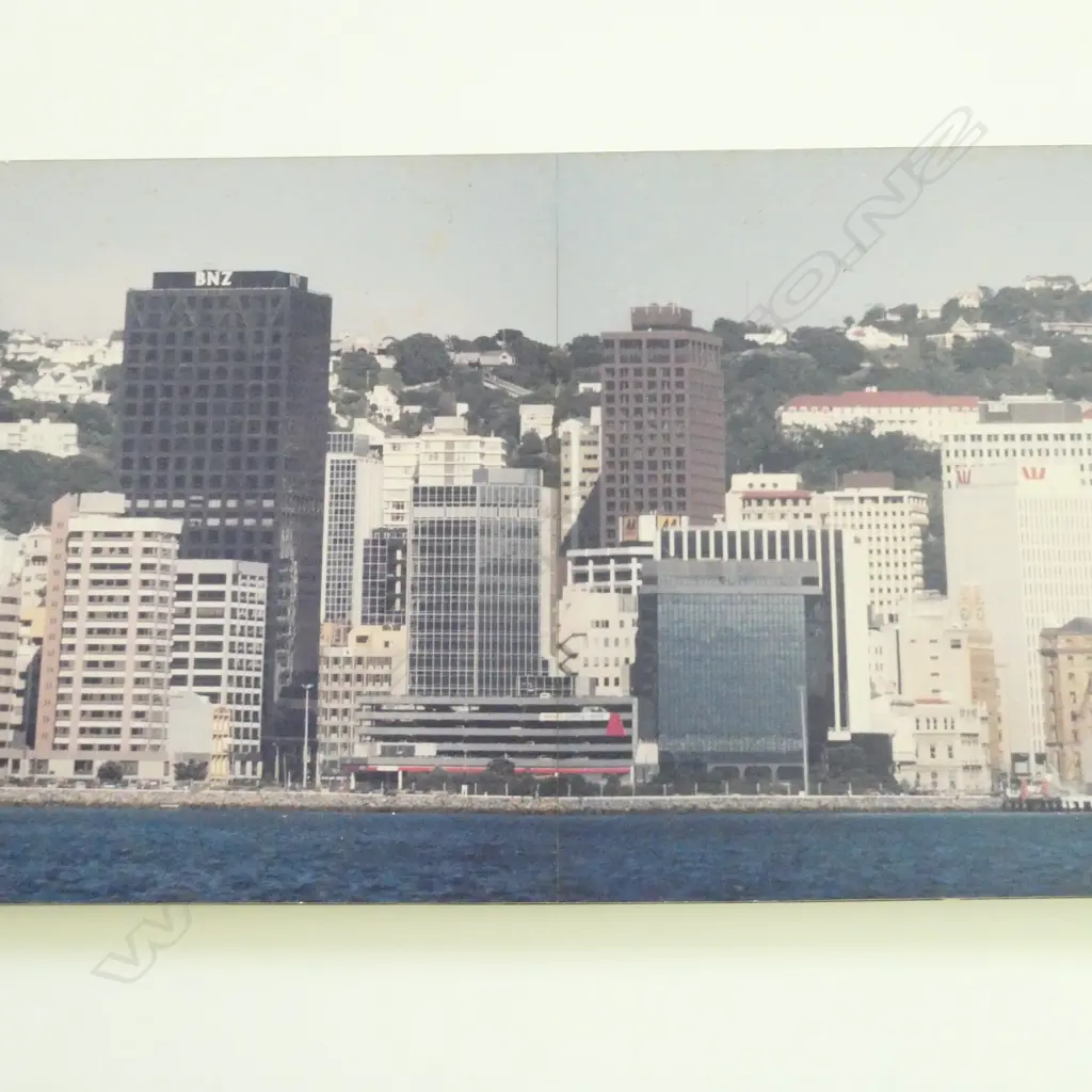 GUY NGAN LONG PANORAMIC PHOTO OF WELLINGTON L 2150 MM Image 1++