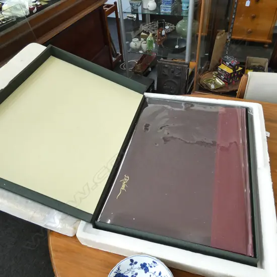 THE PAINTINGS OF J.R. WHITE 339/500