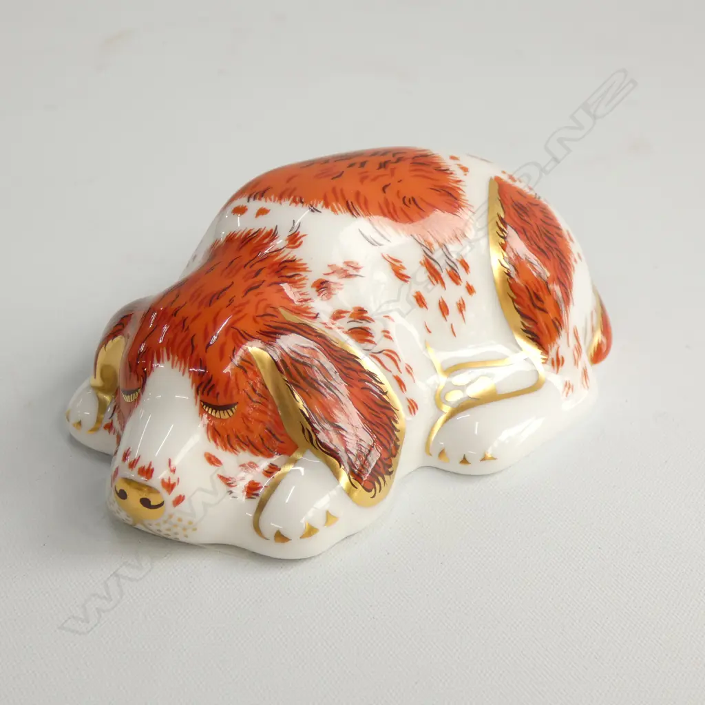 R/CROWN DERBY PUPPY  PAPERWEIGHT Image 1++