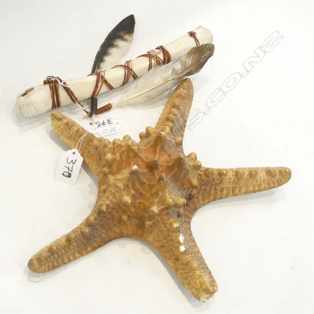 STARFISH +AMERICAN INDIAN FLUTE Image 1++