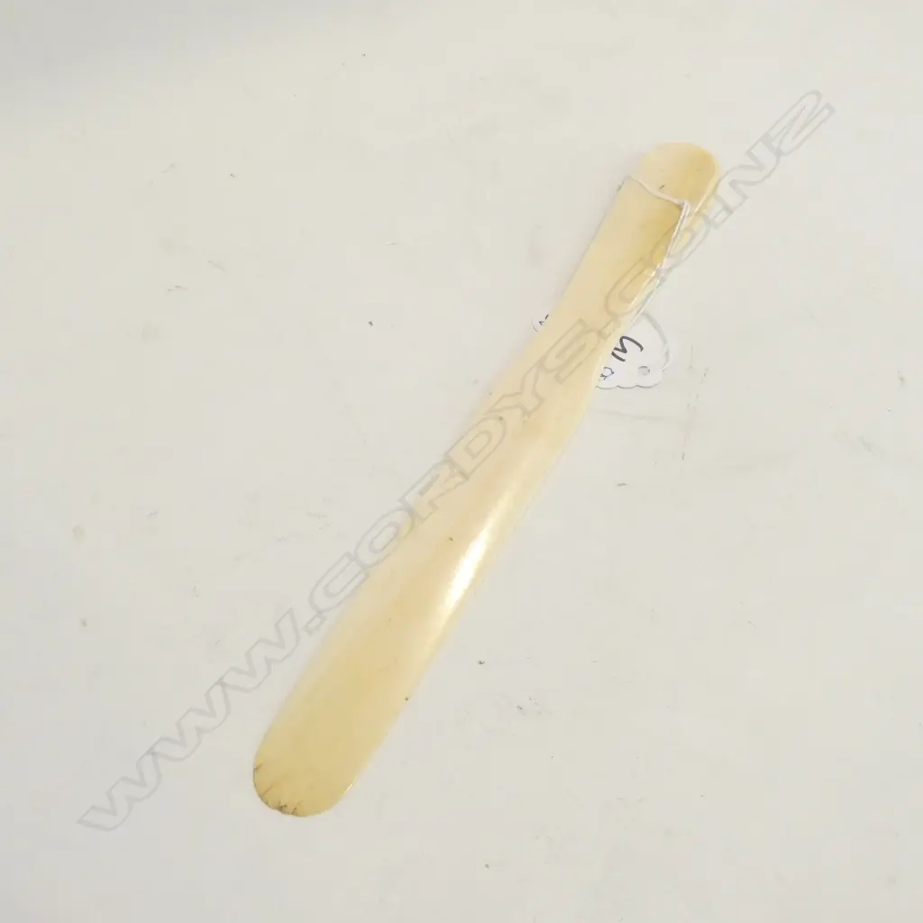 IVORY PAGE TURNER Image 1++