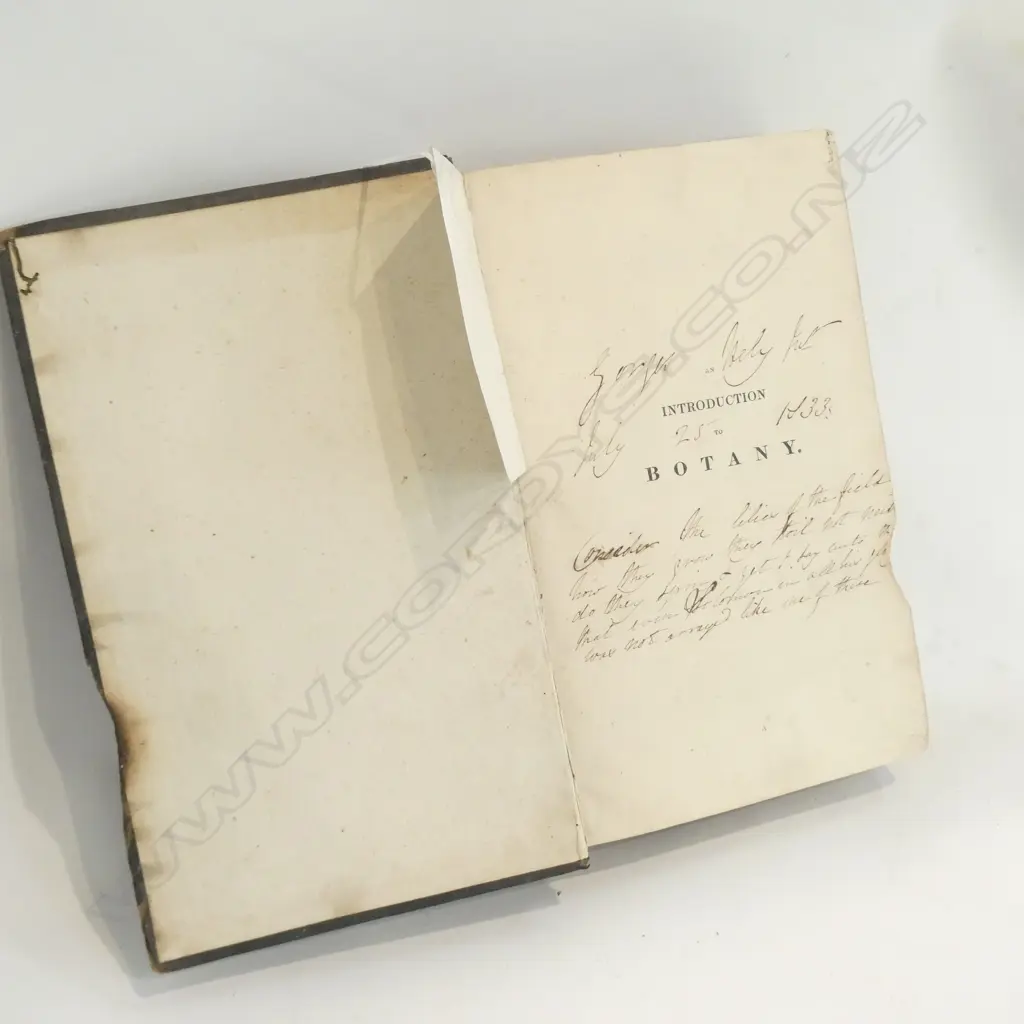 RARE C1832 INTRODUCTION TO BOTANY 1 VOL Image 1++