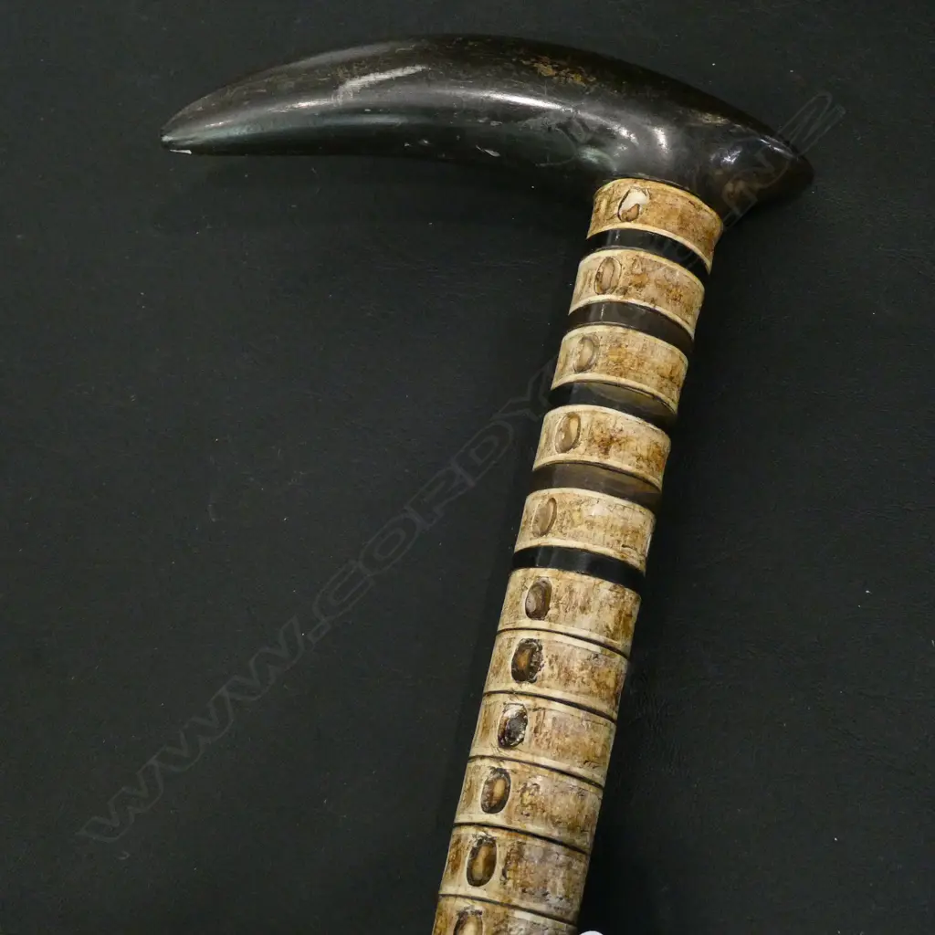 SHARK VERTEBRAE AND HORN WALKING STICK L. 870MM Image 1++