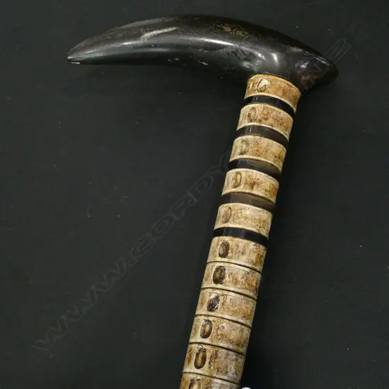 SHARK VERTEBRAE AND HORN WALKING STICK L. 870MM