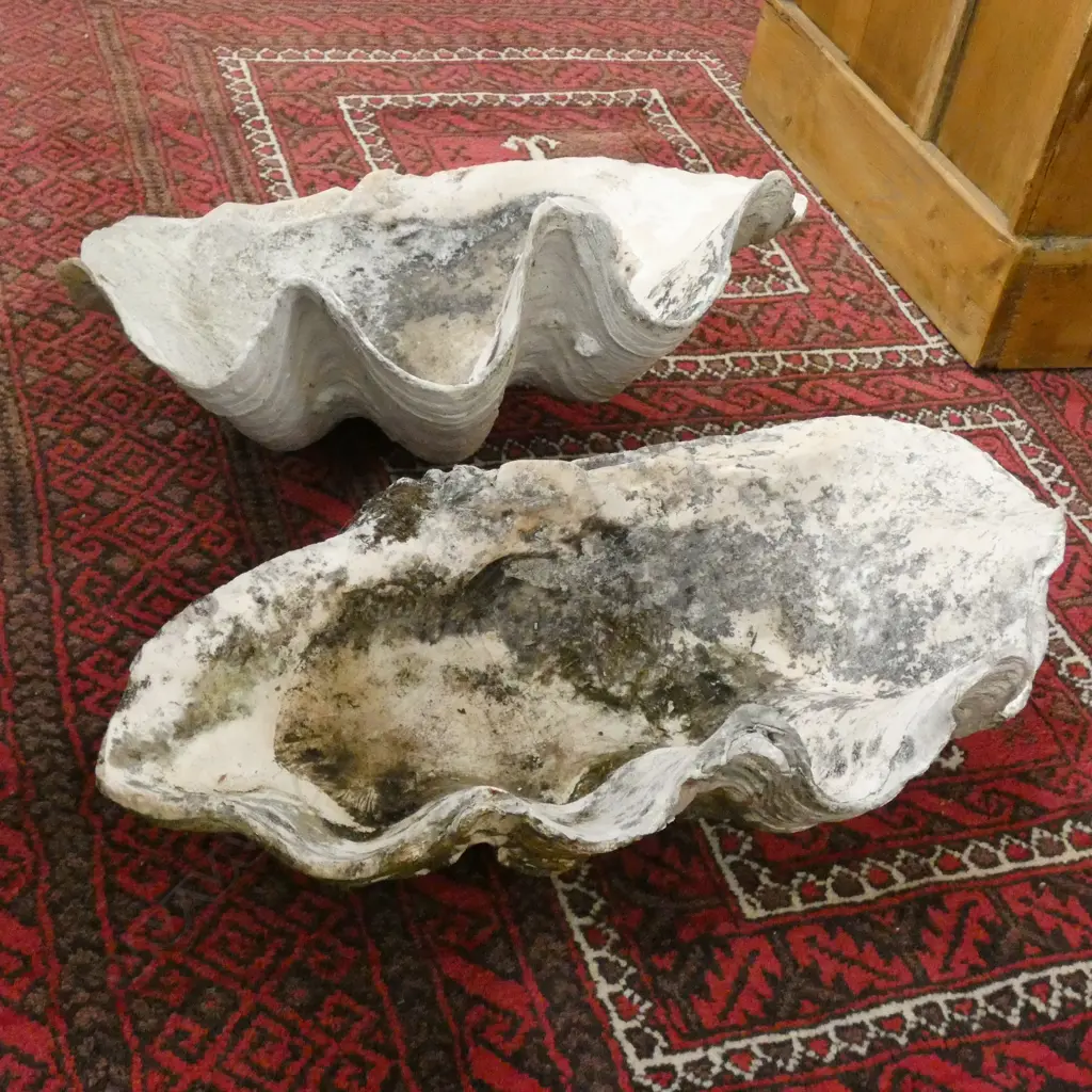 2 RUSTIC CLAM SHELLS  Image 1++