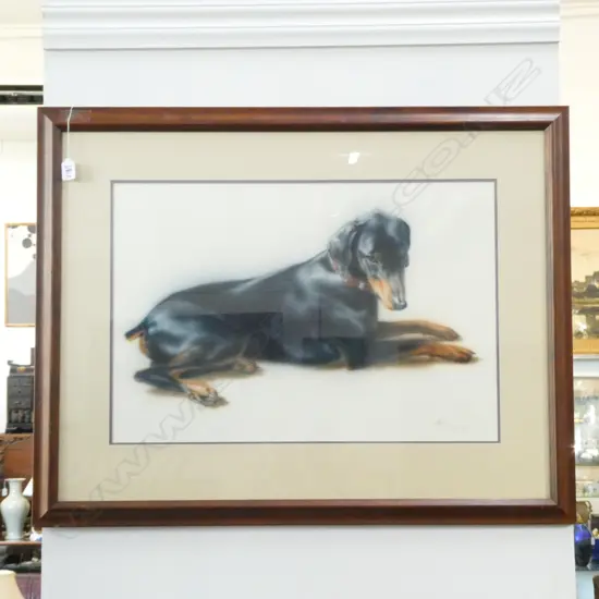 NATALIE O'CALLAGHAN DOBERMAN WATERCOLOUR '93 910 X 710MM