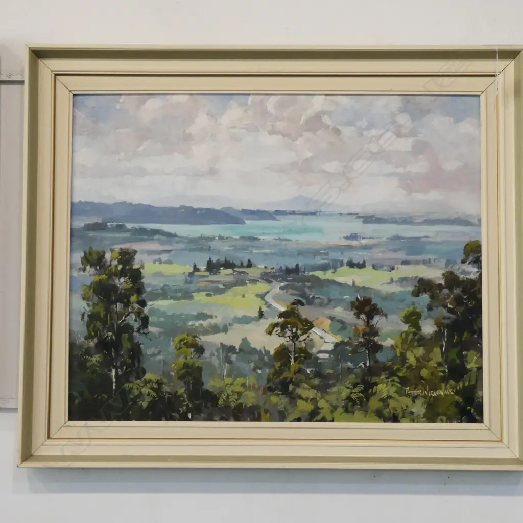 PETER WILLIAMS OIL ON BOARD AUCKLAND HARBOUR 770 X 600 MM Image 1++