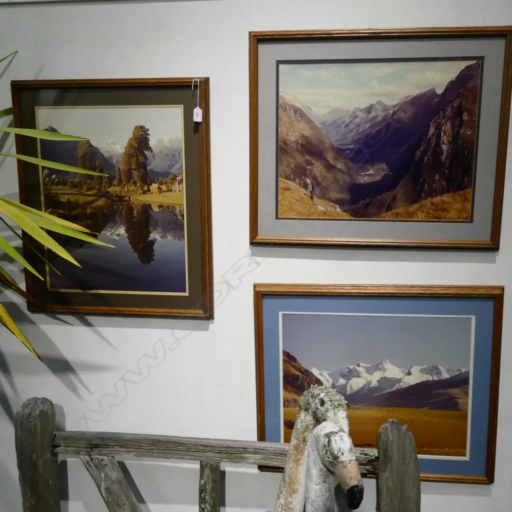 3X OAK FRAMED PHOTOGRAPH OF SOUTH ISLAND  Image 1++