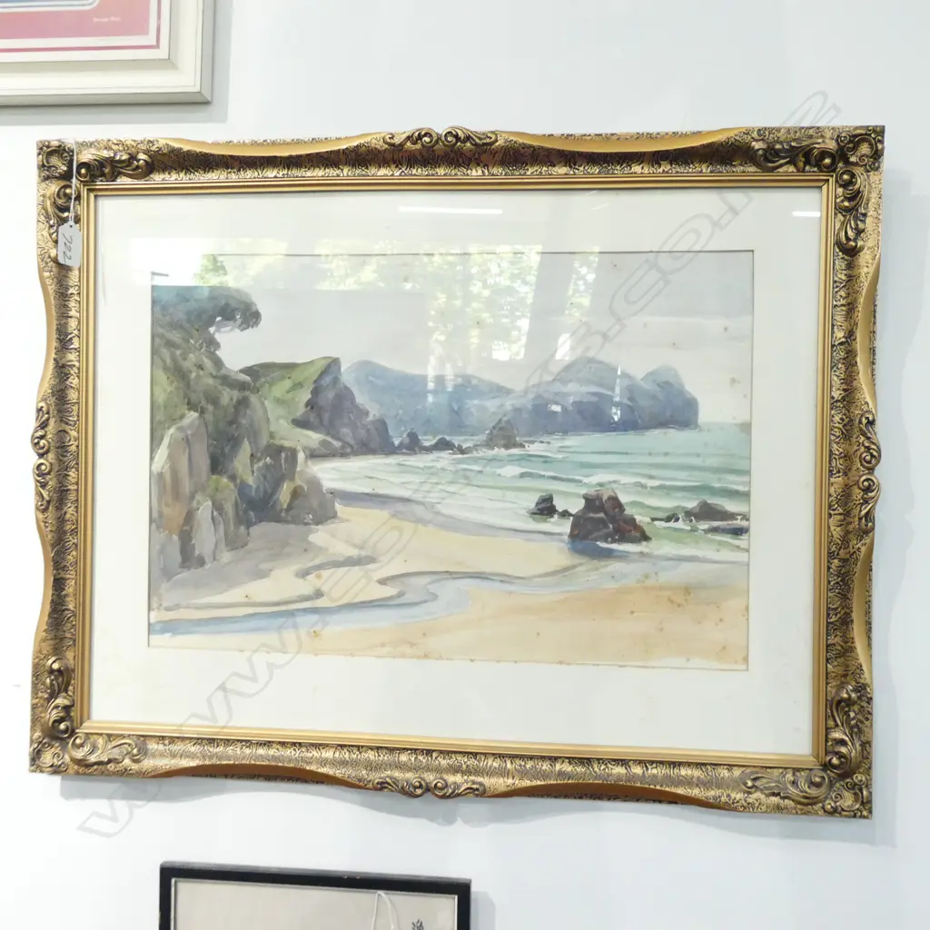 PEGGY SPICER W/COLOUR CORAMANDEL BEACH Image 1++