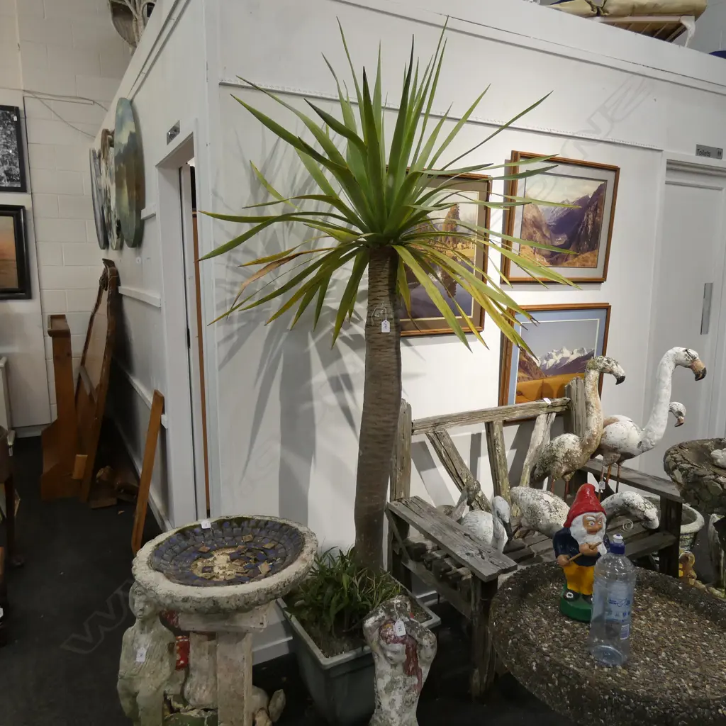 YUKKA PLANT H. 2200MM  Image 1++