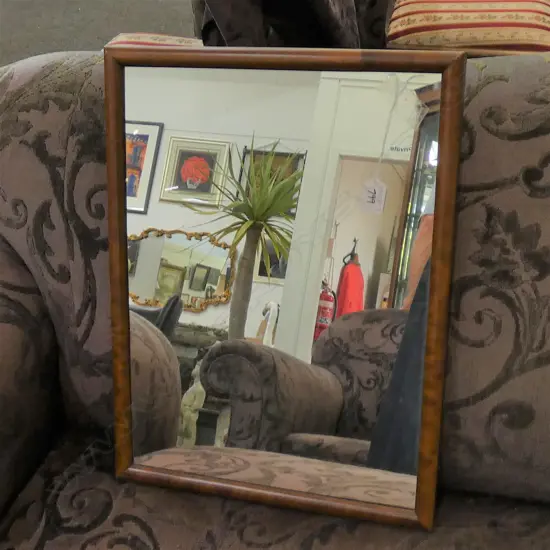 OVER-RESTORED ANTIQUE TOILET MIRROR
