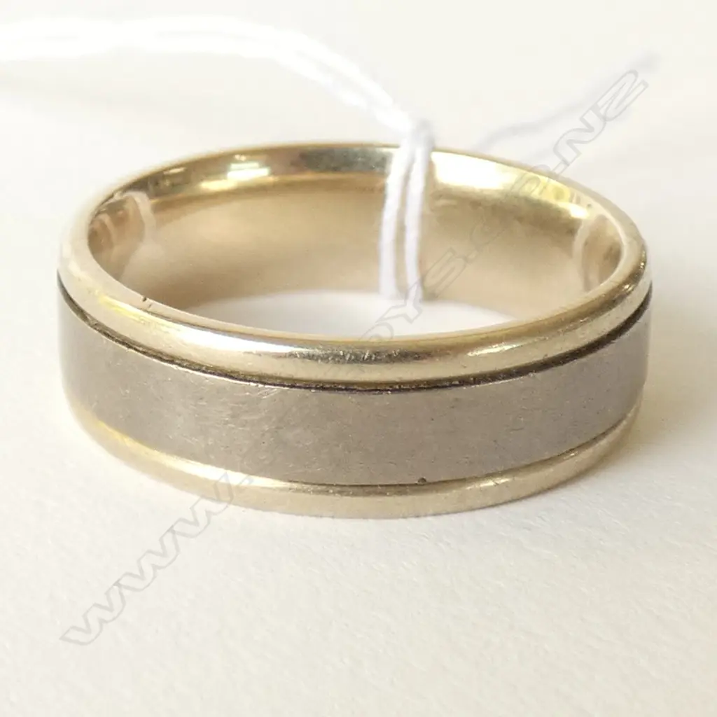 18CT WHITE GOLD AND TITANIUM RING Image 1++