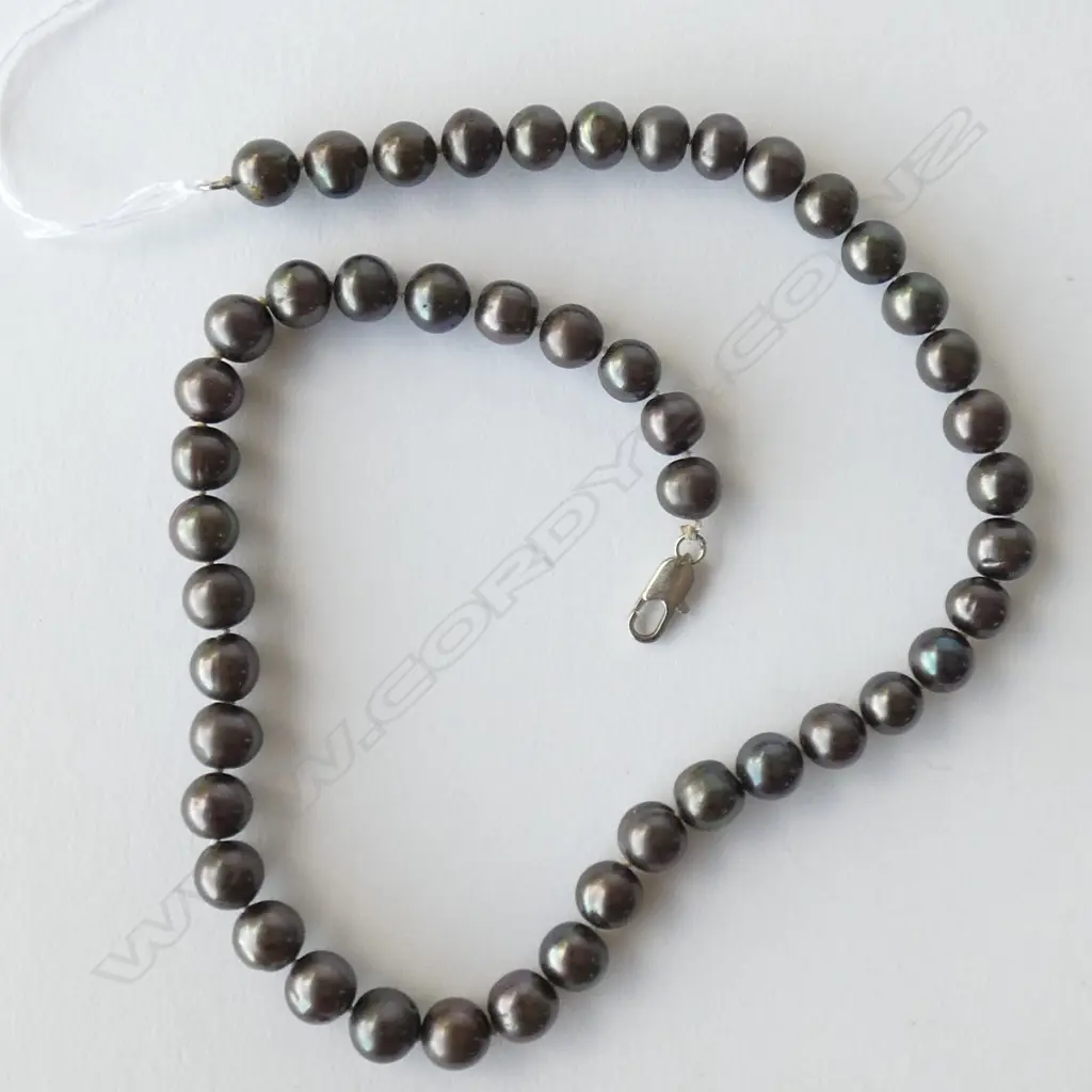 BLACK PEARL SINGLE STRAND NECKLACE Image 1++