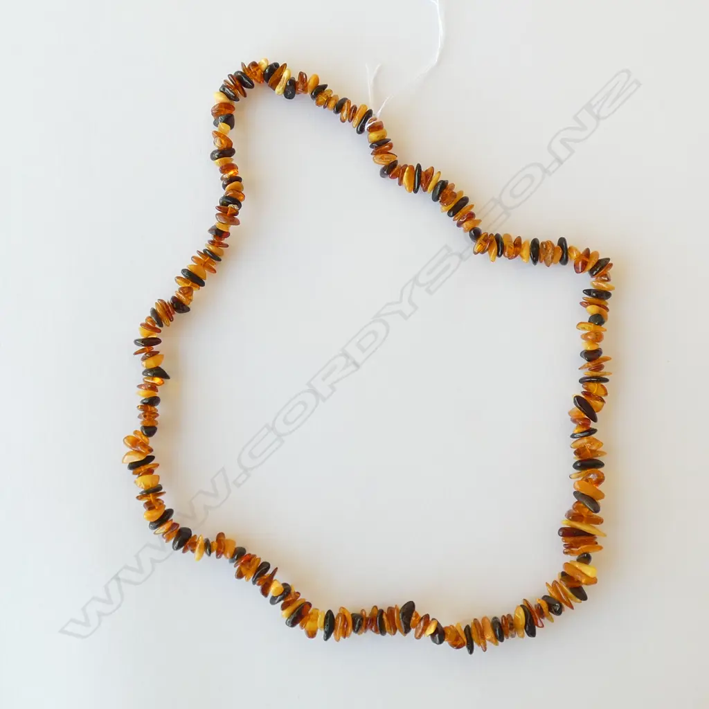 AMBER NUGGET NECKLACE Image 1++