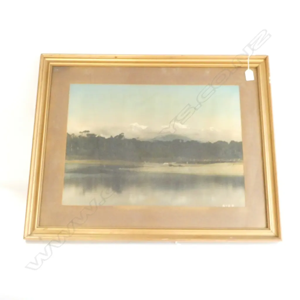 19thC LGE NZ PHOTO H/COLOURED Mts. COOK & TASMAN Image 1++