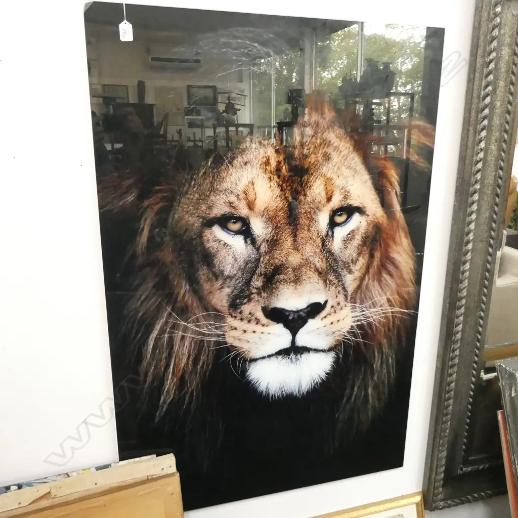 LION ON GLASS ART 800 X 1200MM Image 1++