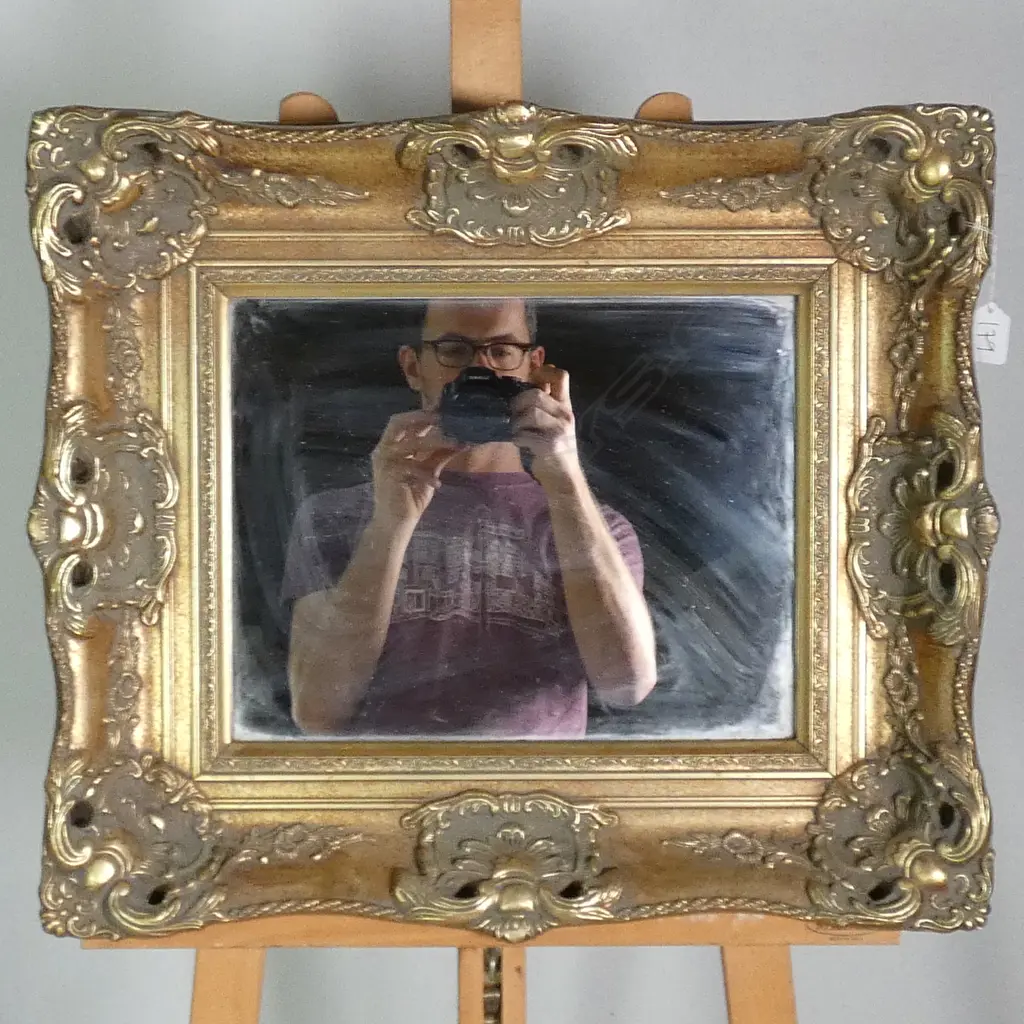 ORNATE GILT FRAMED MIRROR H 490 M Image 1++