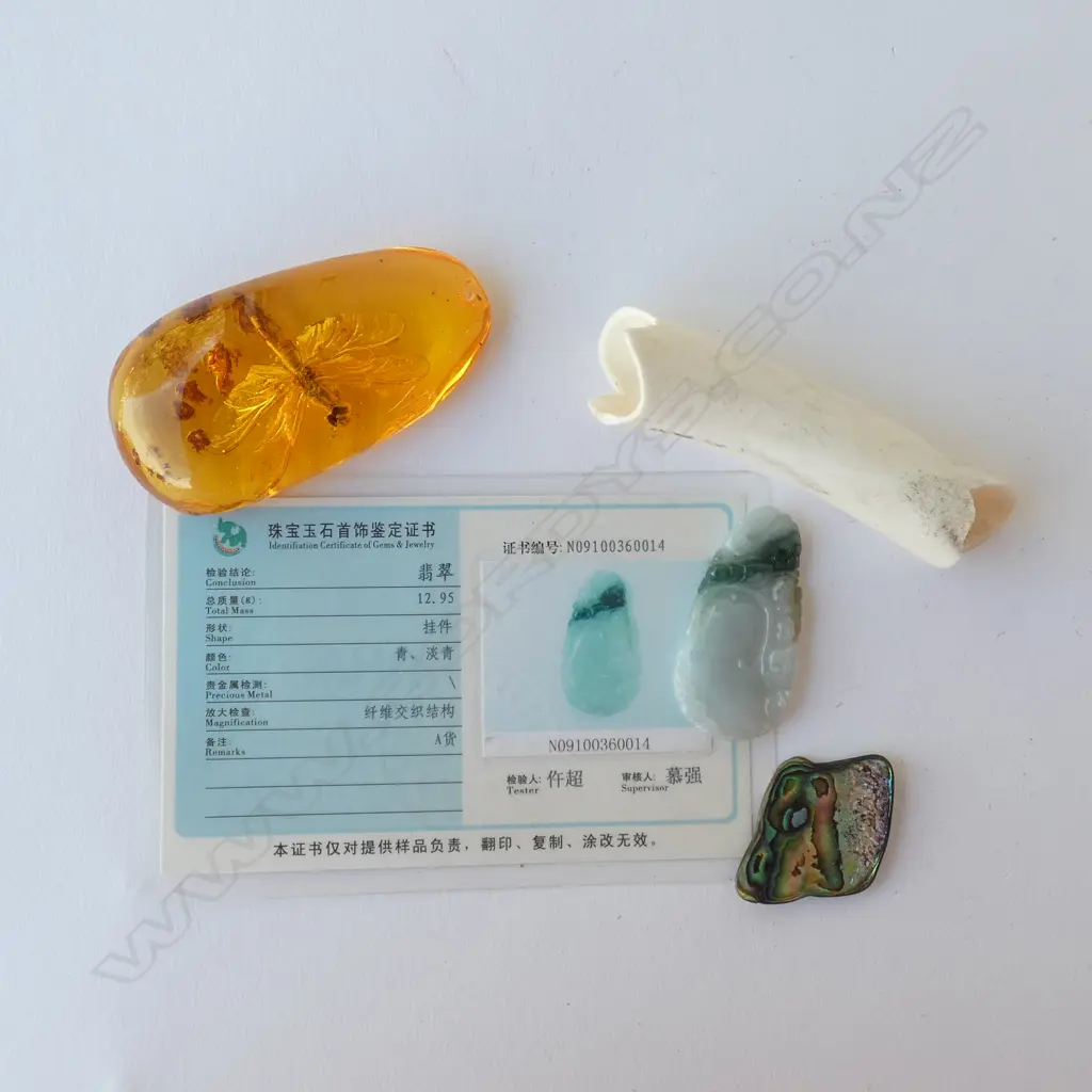 JADE? PENDANT, BONE, FAUX AMBER, PAUA PCE Image 1++