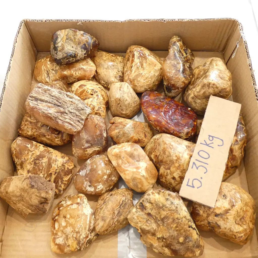 5.31kg COLLECTION OF KAURI GUM Image 1++
