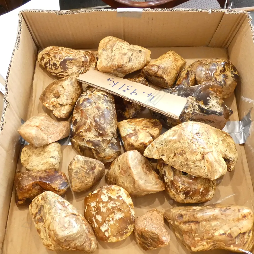 4.93kg COLLECTION OF KAURI GUM Image 1++
