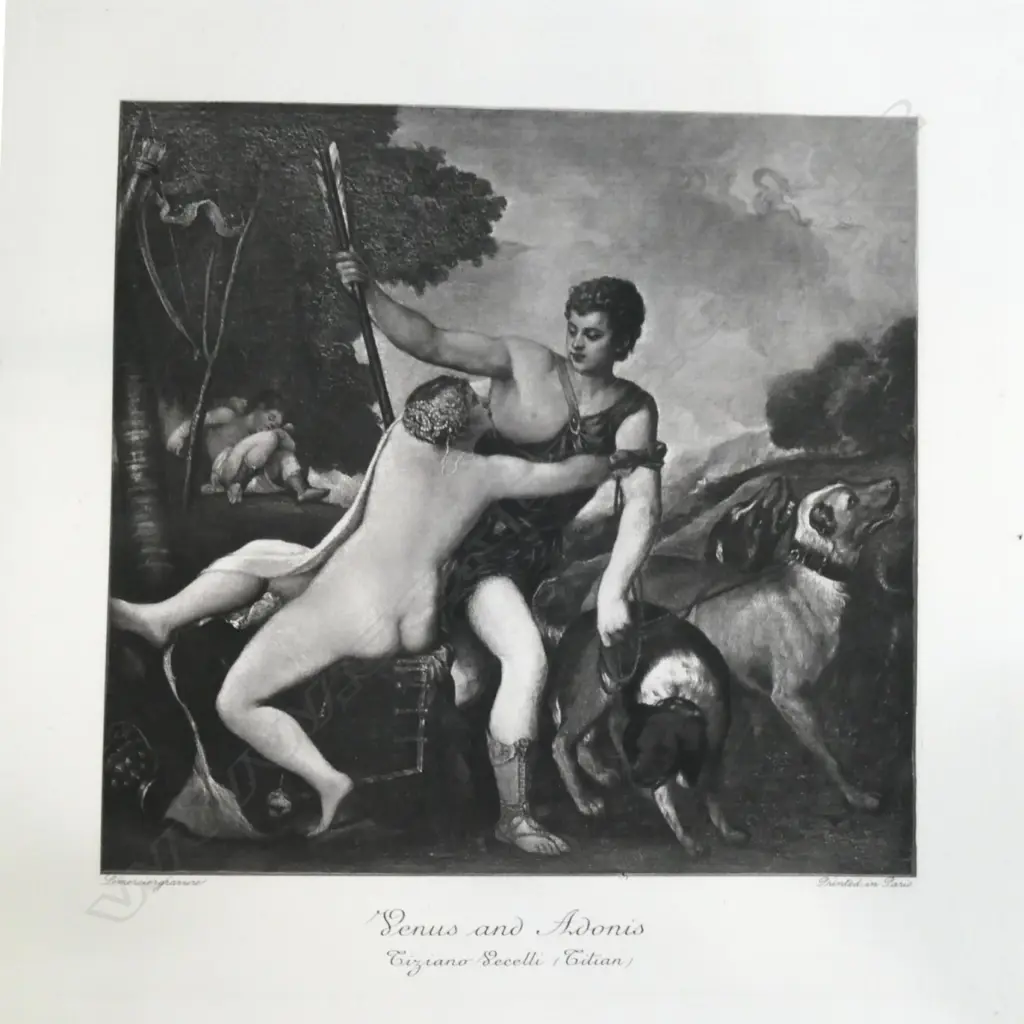 ANTIQUARIAN BOOK 'VENUS AND APOLLO IN PAINTING AND SCULPTURE' W. J. STILLMAN 1897 450MM L Image 1++