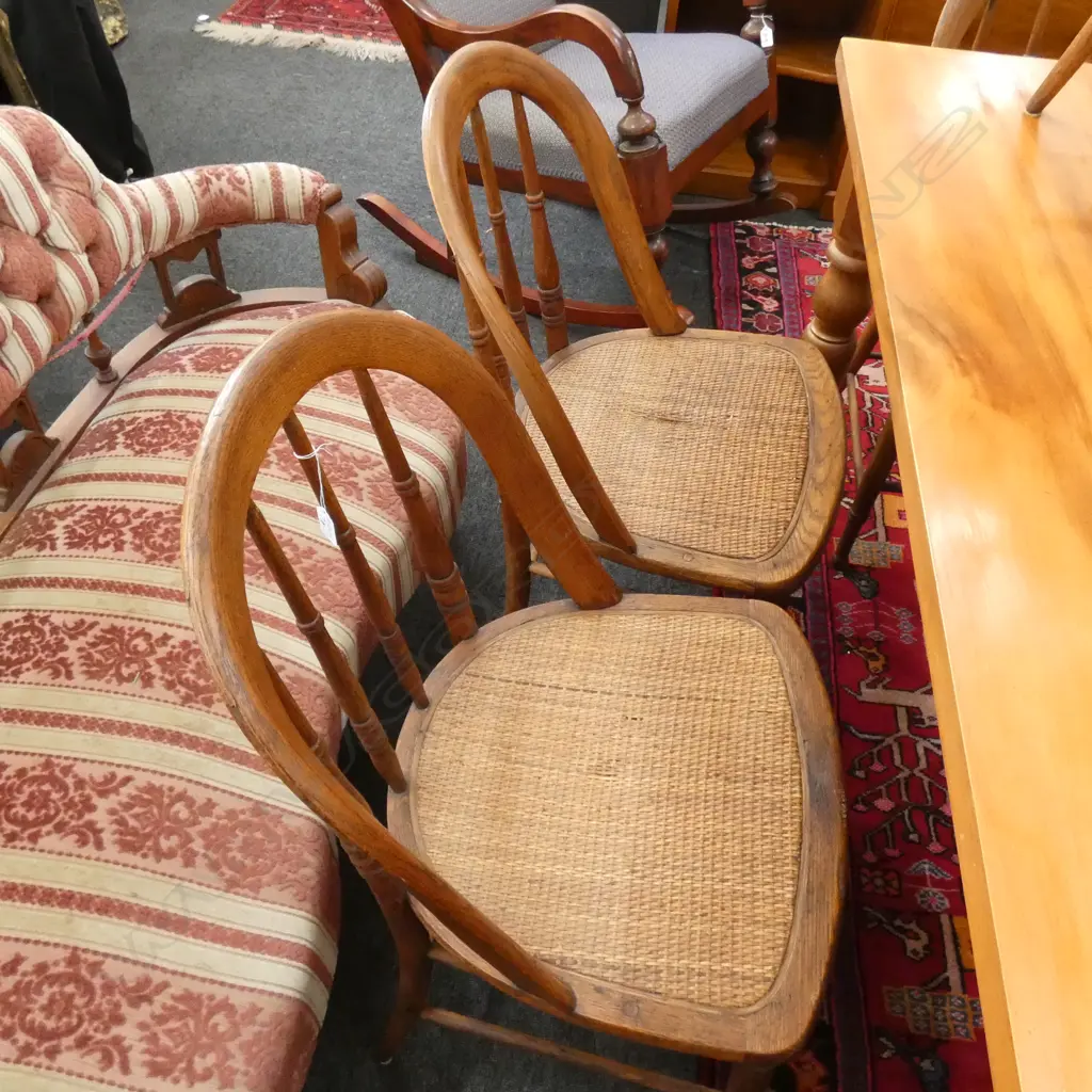 8 OAK FRAMED CANE SEATED DINING CHAIRS Image 1++