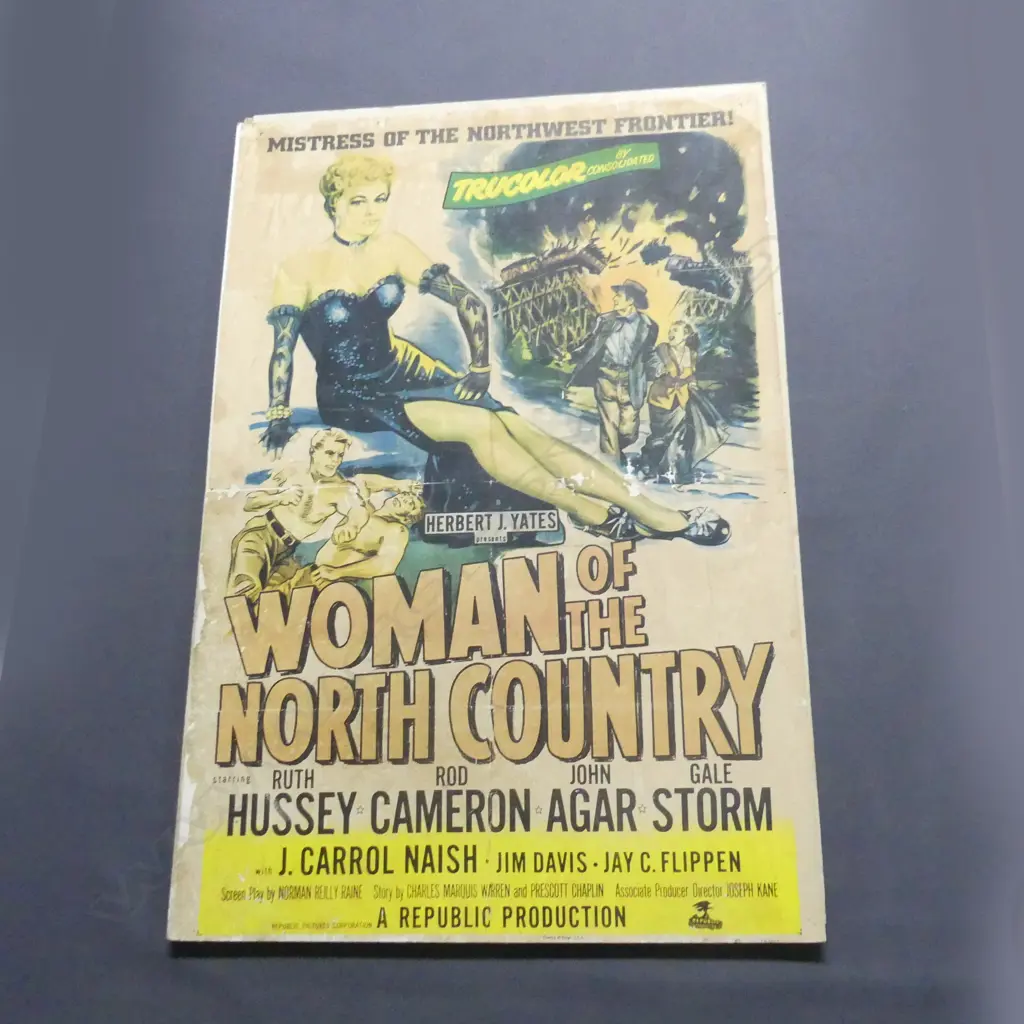 7 x LARGE VINTAGE MOVIE POSTERS MOUNTED ON BOARD, 1020 x 690mm Image 1++