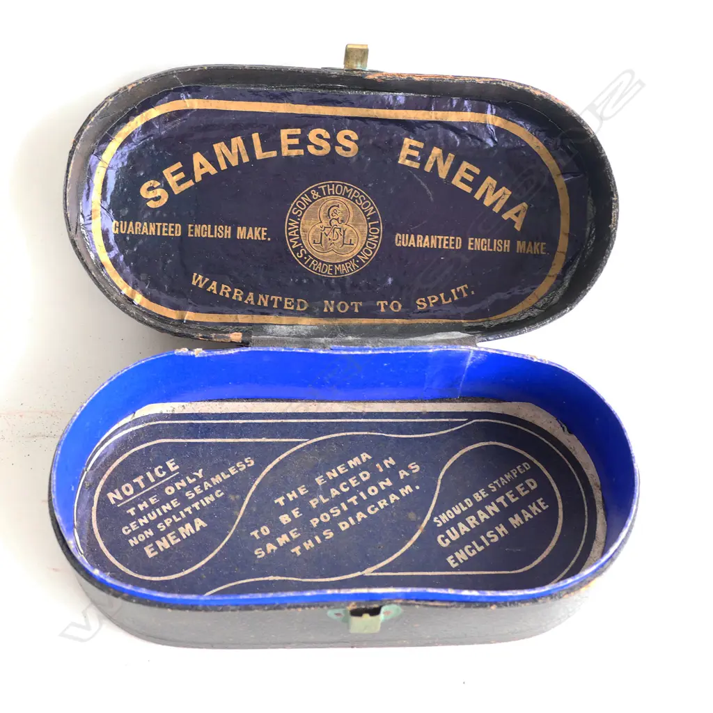 3 TAXIDERMIED HUMMINGBIRDS ON A BRANCH plus 'SEAMLESS ENEMA' BOX L. 170mm Image 1++