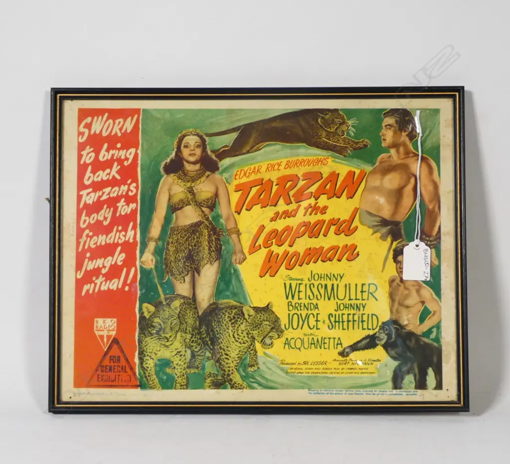 A USA PRINTED VERY COLLECTIBLE LOBBY CARD FOR 'TARZAN & THE LEOPARD WOMAN' H. 255mm Image 1++