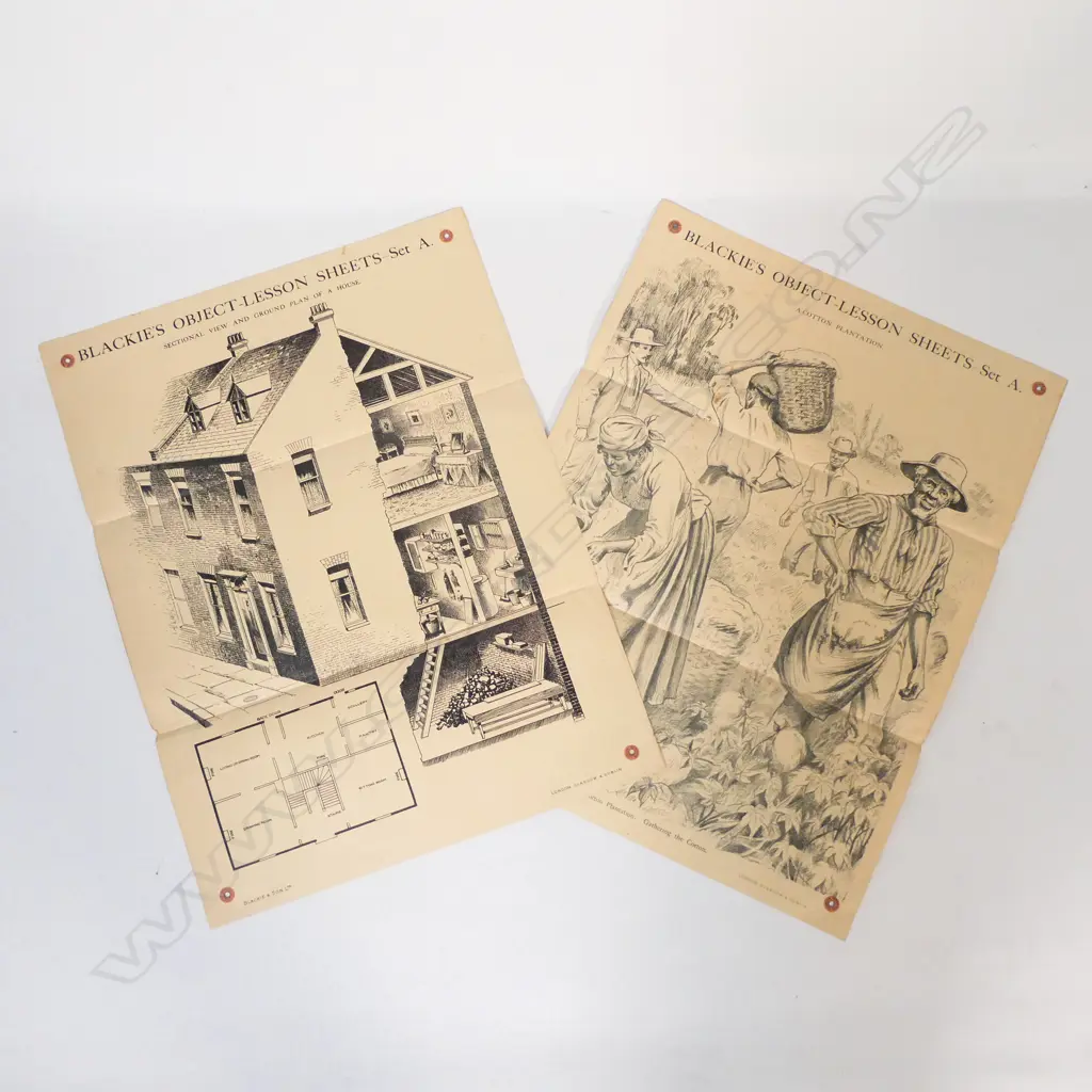 19 '... OBJECT LESSON SHEETS' (USED IN VICTORIAN CLASSROOMS) H. 600 x 450mm Image 1++