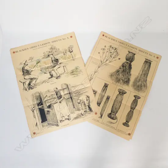 19 '... OBJECT LESSON SHEETS' (USED IN VICTORIAN CLASSROOMS) H. 600 x 450mm