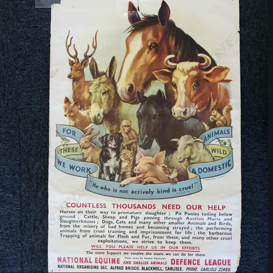 (87) 6 SMALL POSTERS INCL. EARLY UK SPCA POSTER, MARIJUANA, FRIDA KAHLO & OTHERS