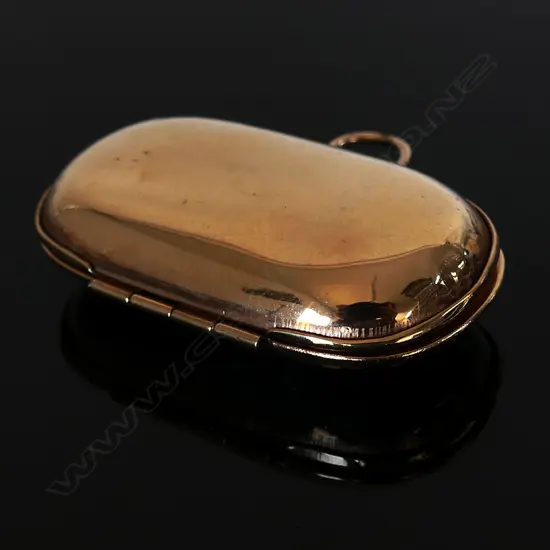 Gold plated Sovereign and Half Sovereign Case
