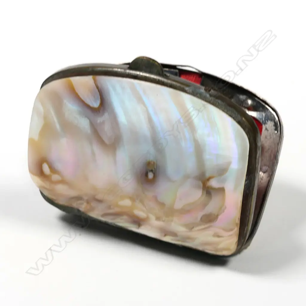 Vintage 1901 Mother of Pearl Purse Souvenir “A Present from the Crystal Palace” Image 1++