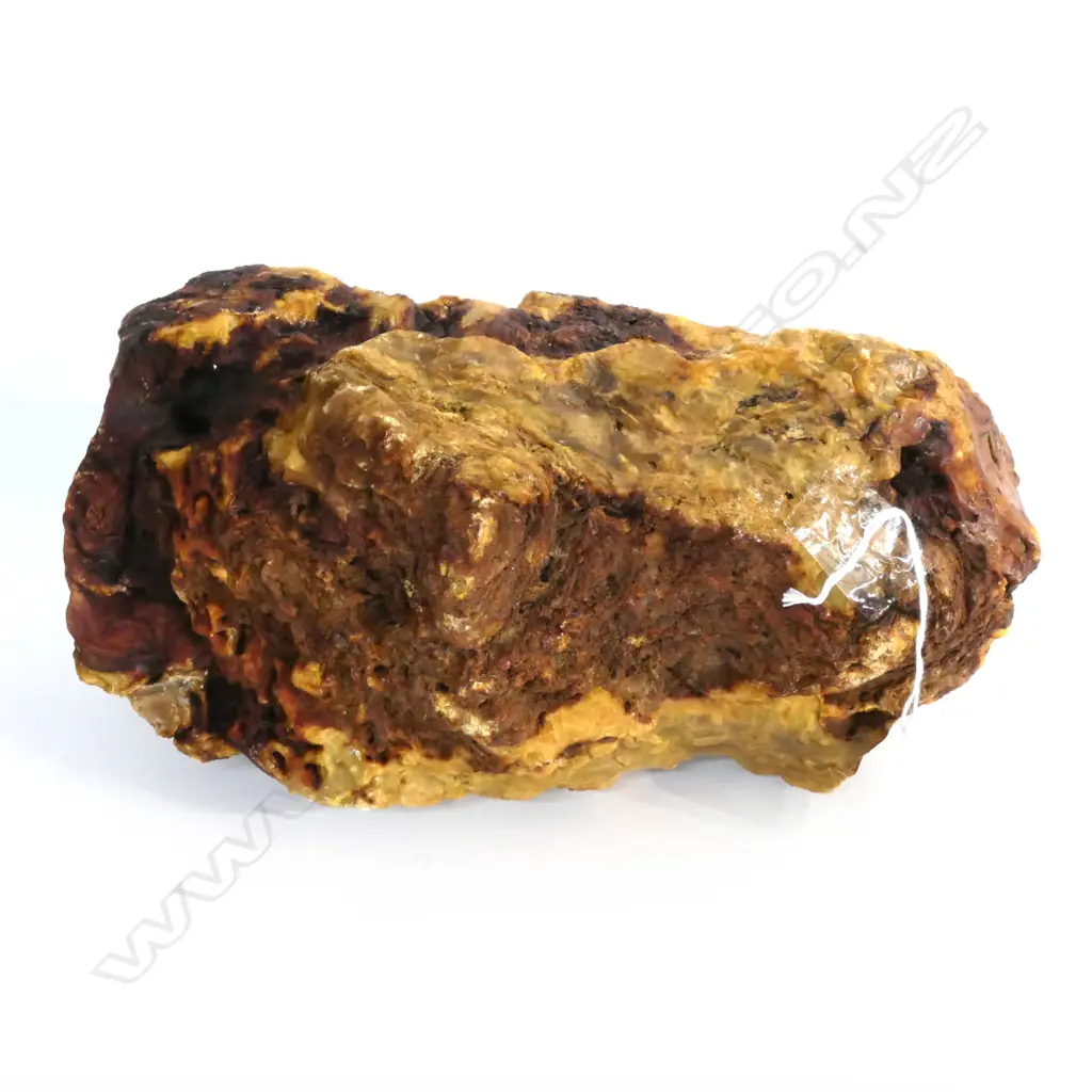 LARGE KAURI GUM NUGGET. L280mm Image 1++