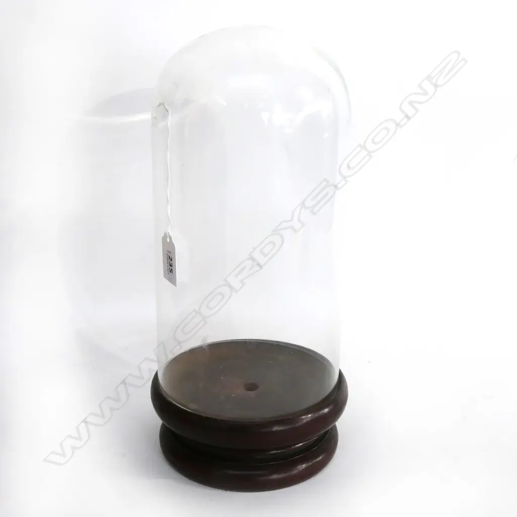 GLASS DOME w CIRCULAR WOOD BASE H.320mm Image 1++