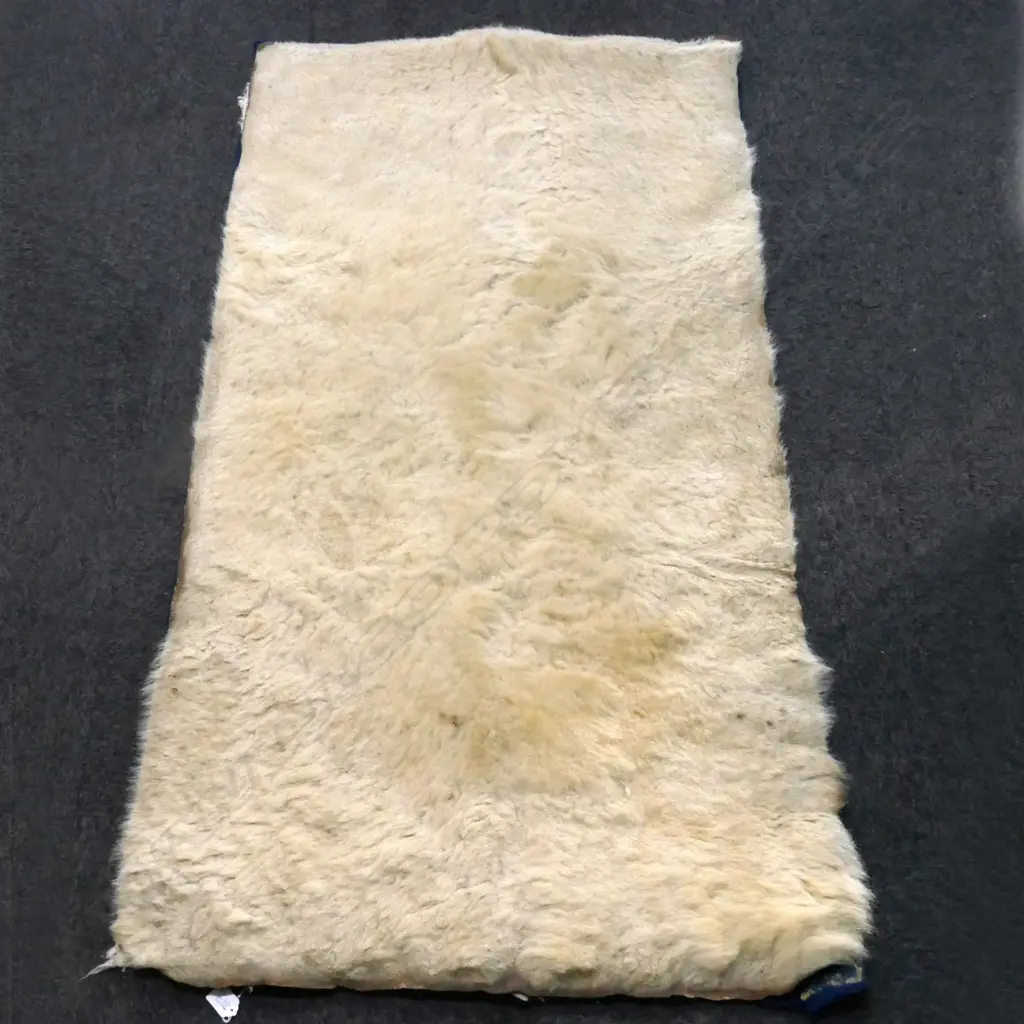POLAR BEAR RUG, L.1460mm, HOBNAIL BOOTS & SUNBURST GARDEN ORNAMENT Image 1++