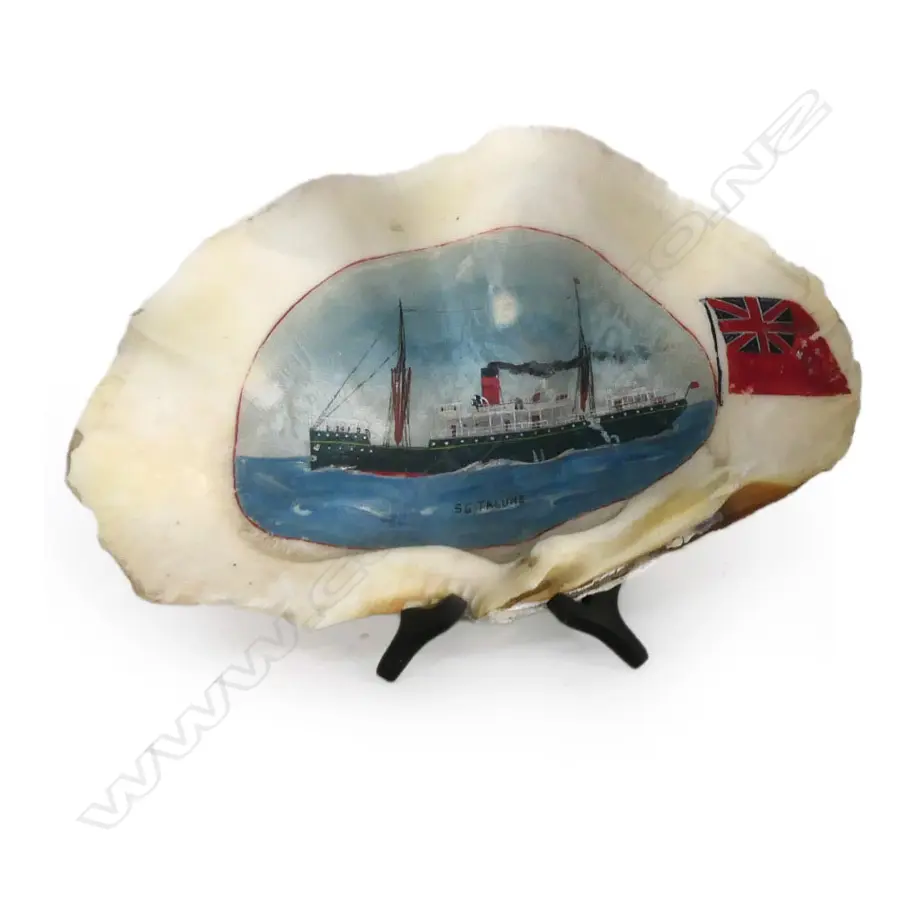 PAINTED CLAM SHELL DEPICTING THE USSCo, T.S.S. TALUNE. W.280mm... Image 1++