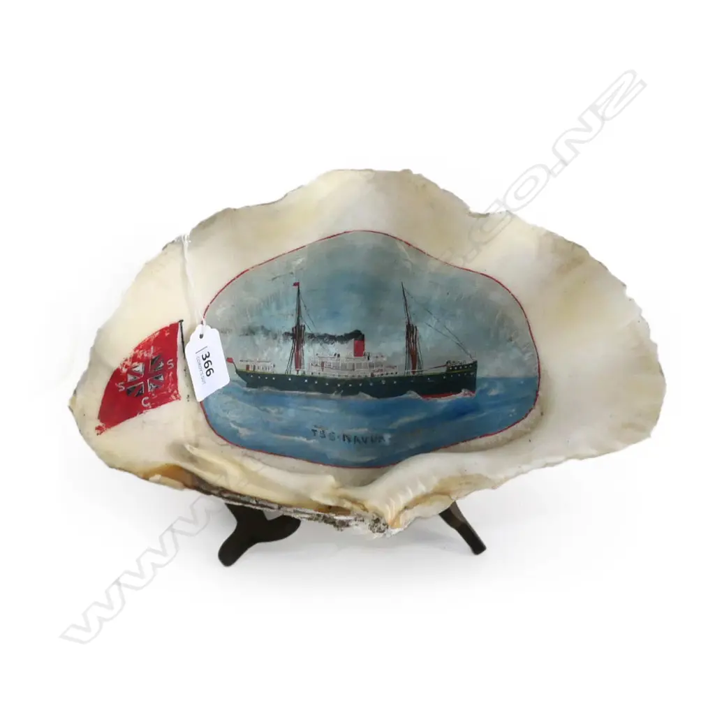 PAINTED CLAM SHELL DEPICTING THE USSCo, T.S.S. NAVUA. W.280mm Image 1++