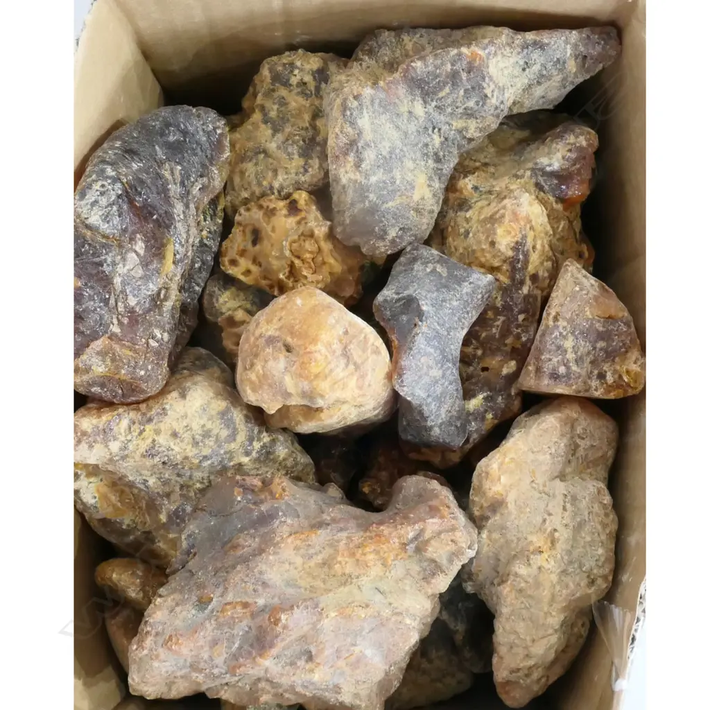 'KIA ORA' GUM DIGGGER'S SPADE AND BOX OF KAURI GUM NUGGETS Image 1++