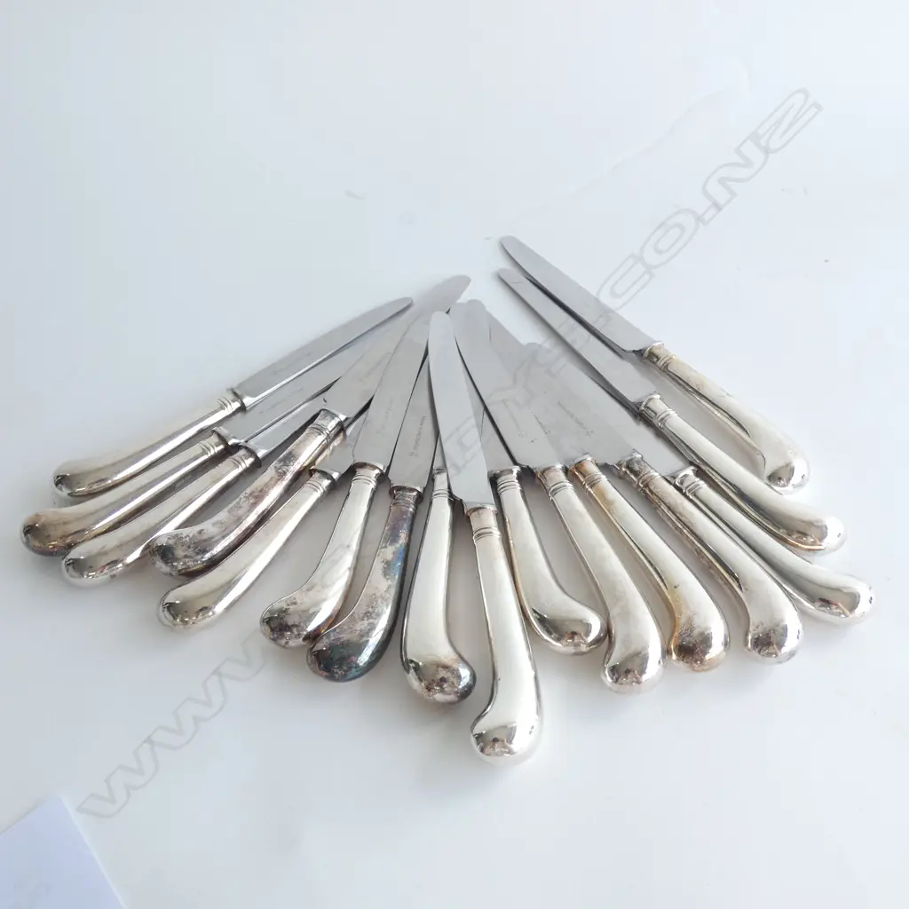 16 PISTOL GRIP KNIVES; 8 LARGE 8 SMALLER Image 1++