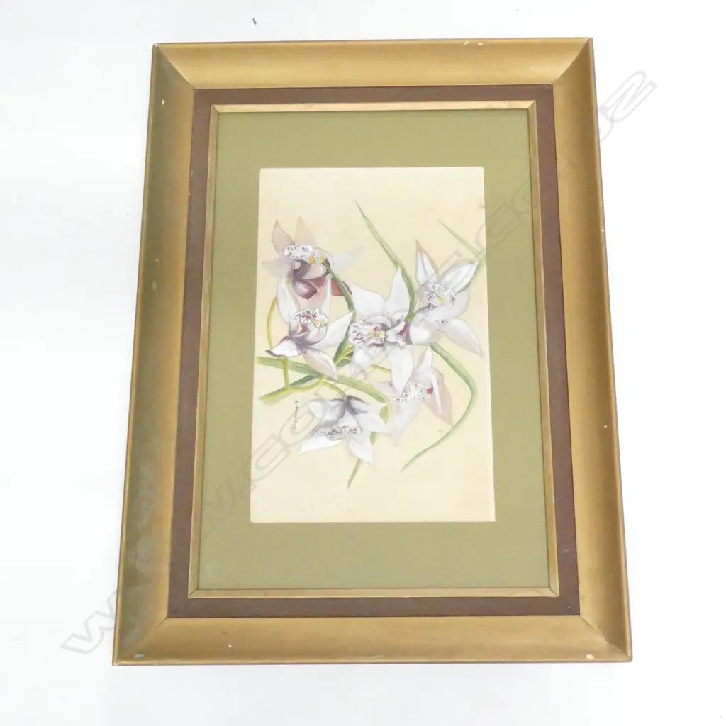 B. HANSEN WHITE IRISES W/C '79 275x440mm Image 1++