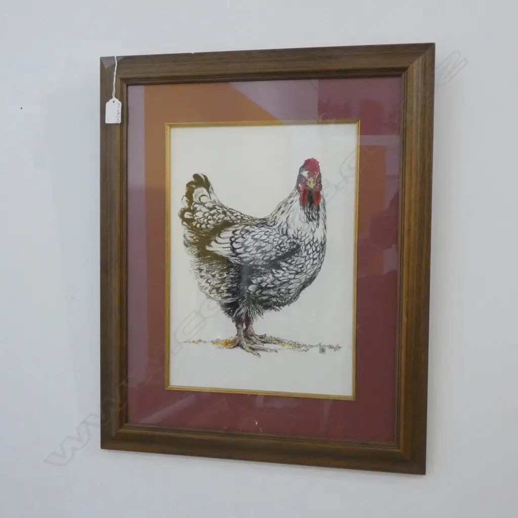 BERNADETTE TOYE 'SILVERLACED WYANDOTTE' WORK ON PAPER 370x260mm Image 1++